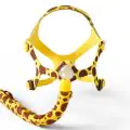 RespBuy-Philips-Wisp-Pediatric-Mask-Main