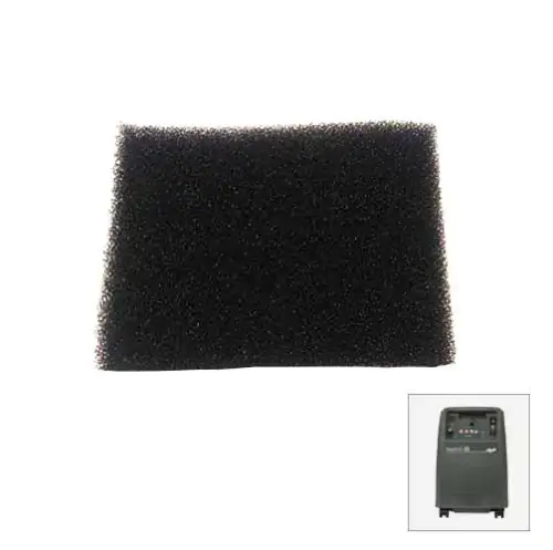 RespBuy-airsep-visionaire-filter1648799591
