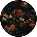 Akshita profile picture