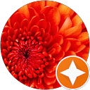 keerthi kumar profile picture