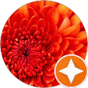 keerthi kumar profile picture